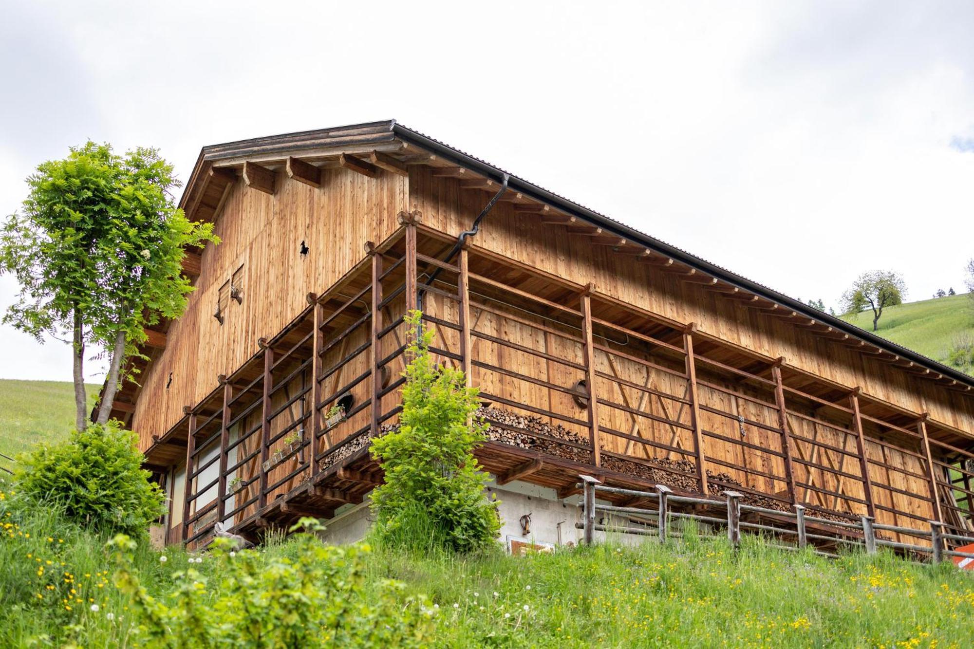 Bolser App Piz Da Peres San Vigilio Di Marebbe Habitación foto